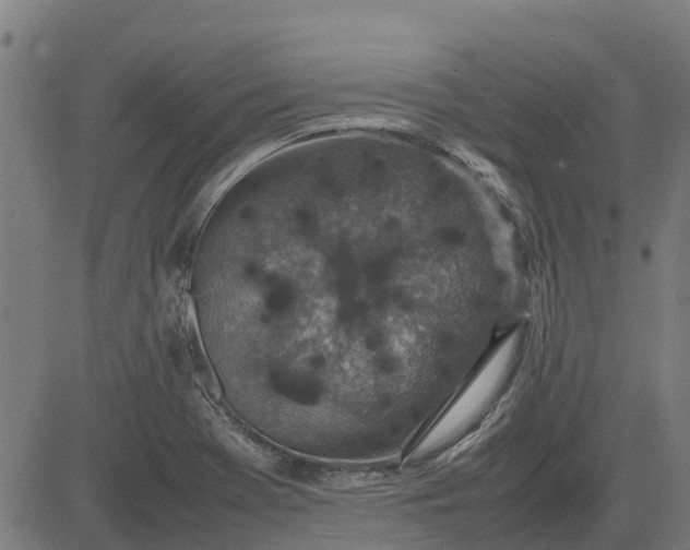 X0000082691369200702091647