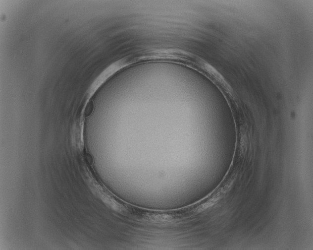 X0000082691370200702091647