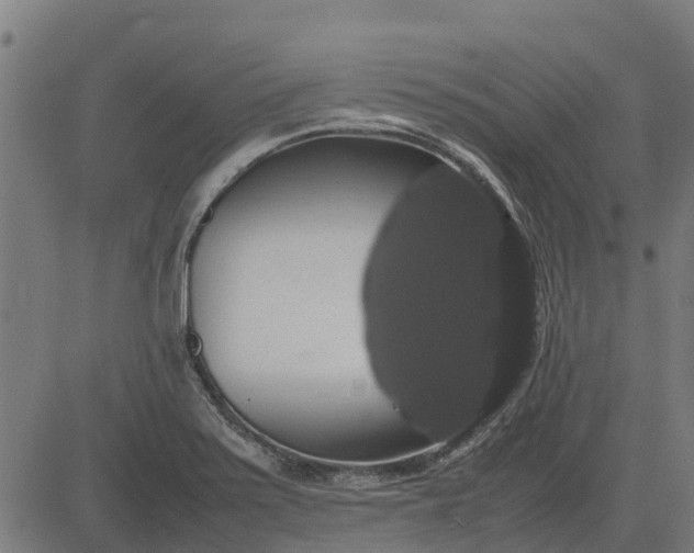 X0000082691371200702091646