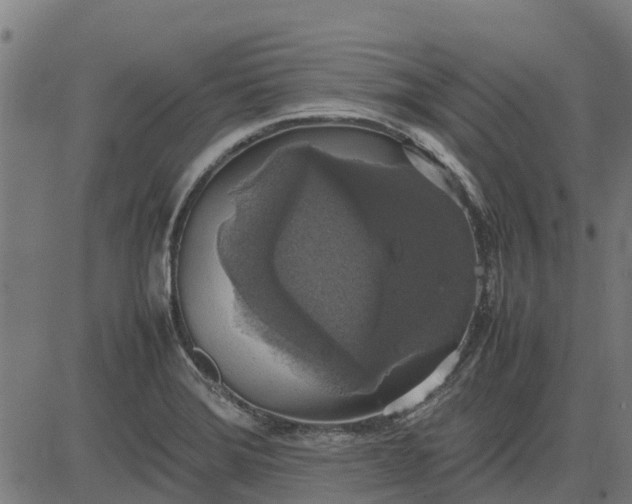 X0000082691372200702091646