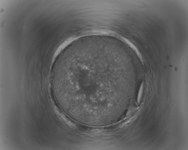 X0000082691373200702091646