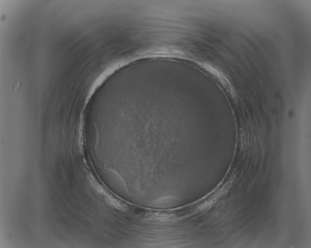 X0000082691374200702091646