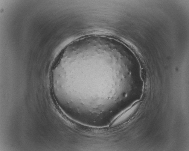 X0000082691375200702091646