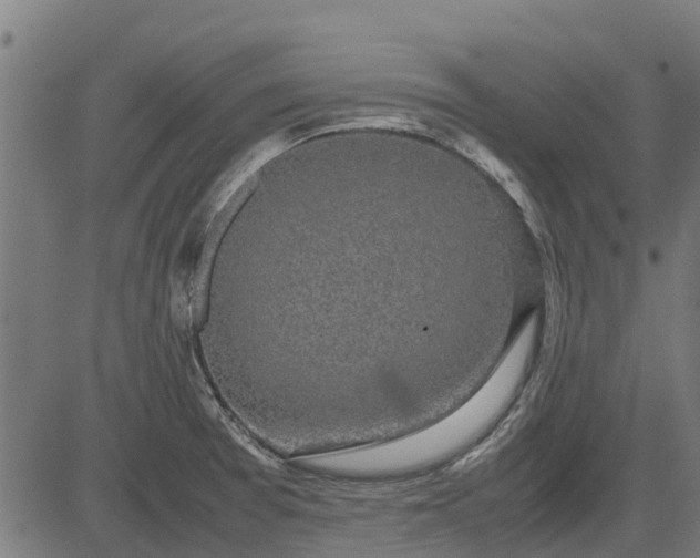 X0000082691377200702091646