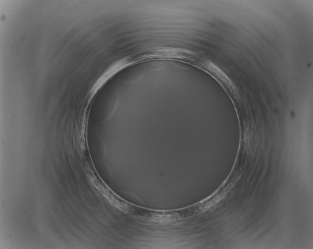 X0000082691378200702091646