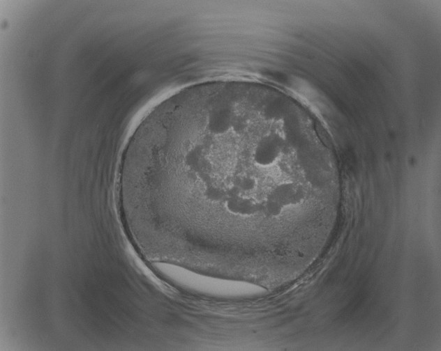 X0000082691379200702091646