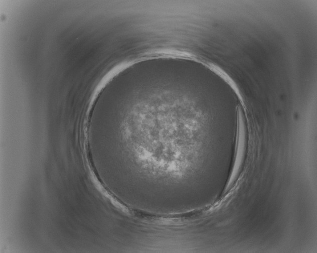 X0000082691381200702091646