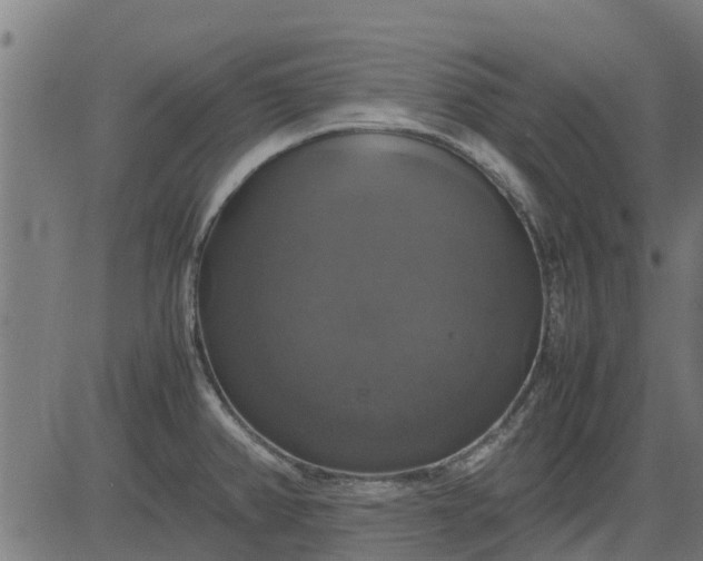 X0000082691382200702091646