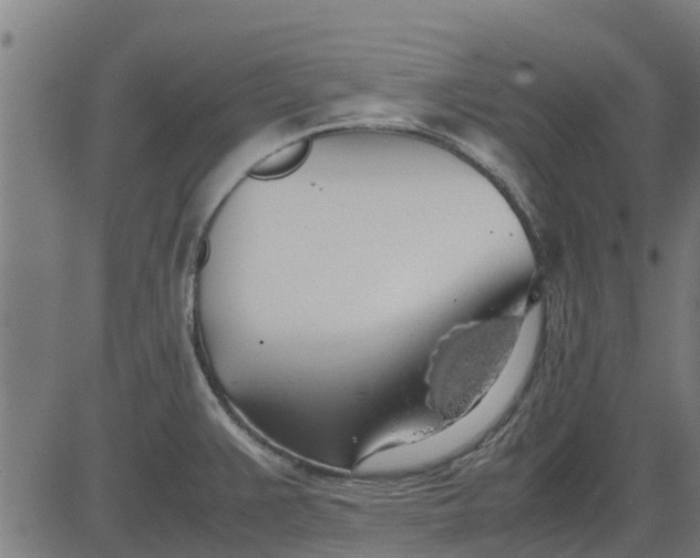 X0000082691383200702091646