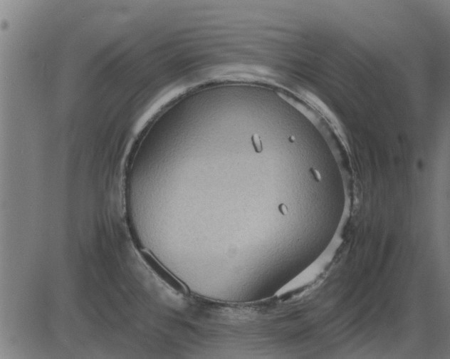 X0000082691384200702091646