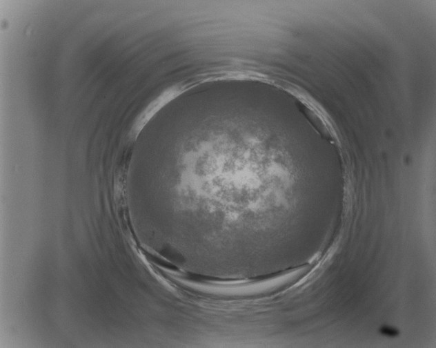 X0000082691385200702091646