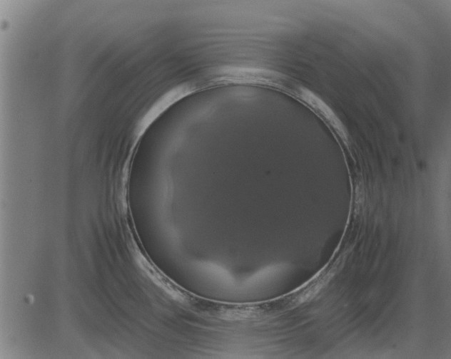 X0000082691386200702091646