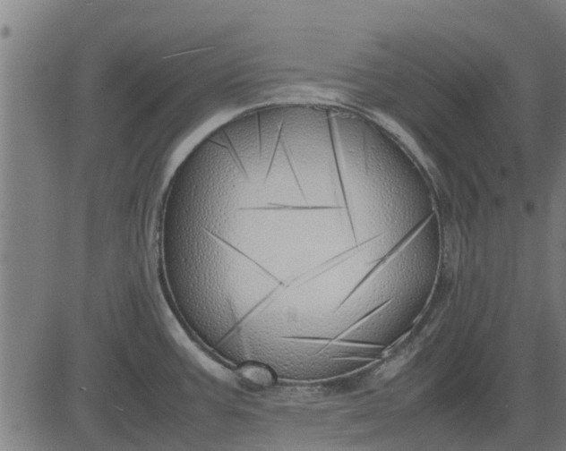 X0000082691387200702091646