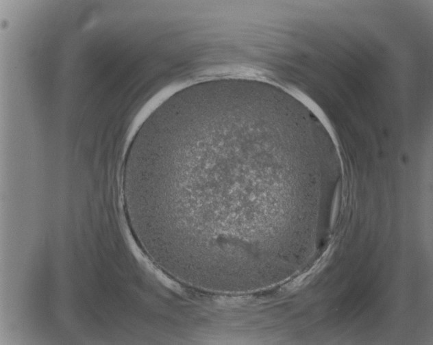 X0000082691389200702091646