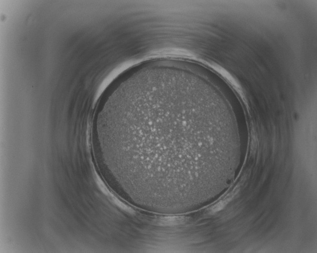 X0000082691390200702091646