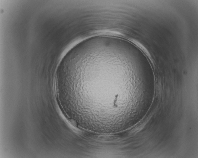 X0000082691391200702091646