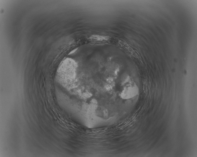 X0000082691393200702091645