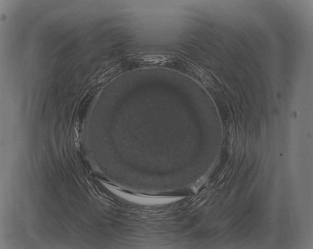 X0000082691394200702091645