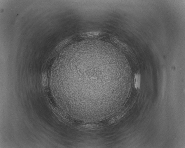 X0000082691395200702091645