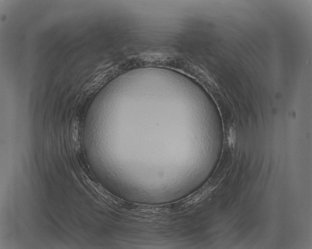 X0000082691396200702091645