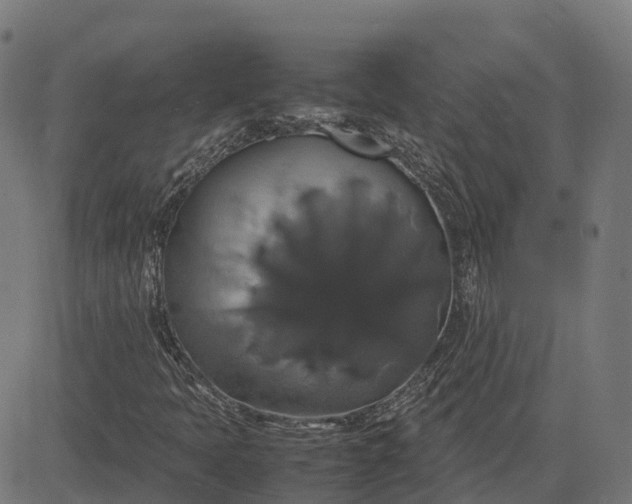 X0000082691397200702091645