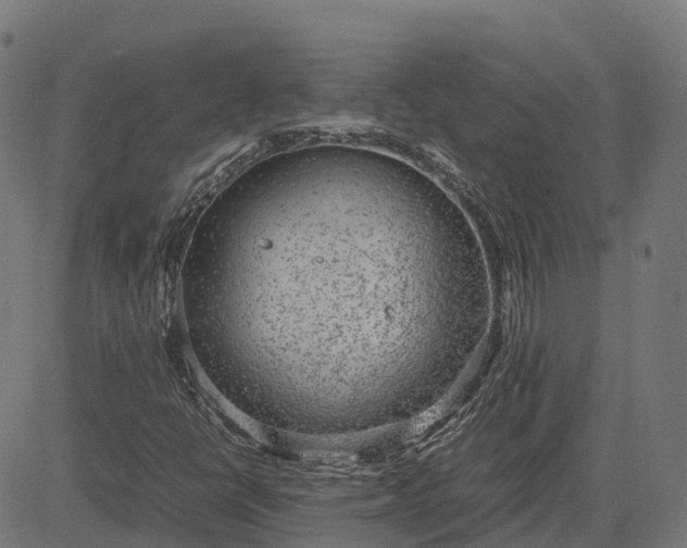 X0000082691398200702091645