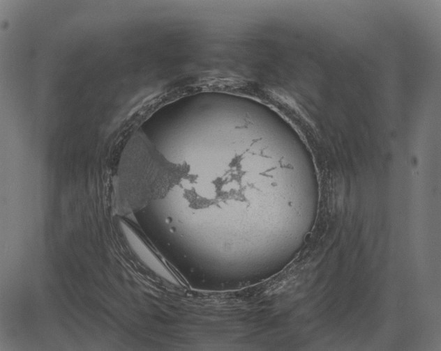 X0000082691399200702091645