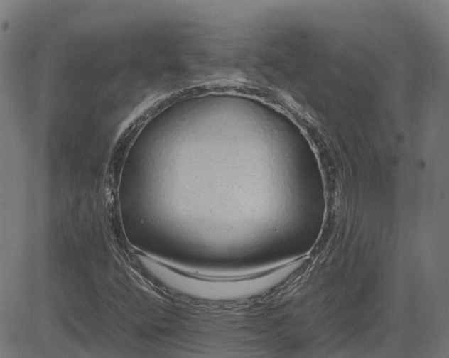 X0000082691400200702091645