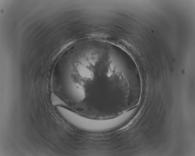 X0000082691401200702091646