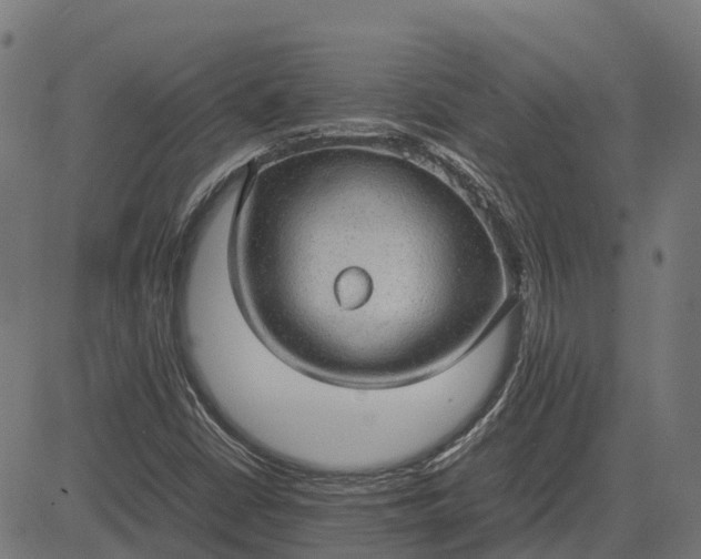 X0000082691402200702091646