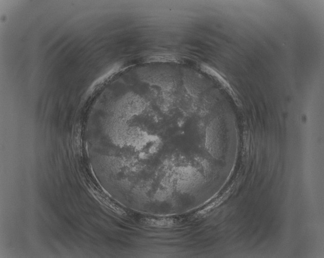 X0000082691403200702091646