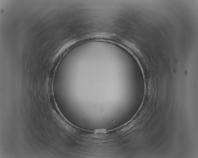 X0000082691404200702091646