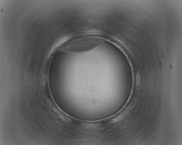 X0000082691405200702091646