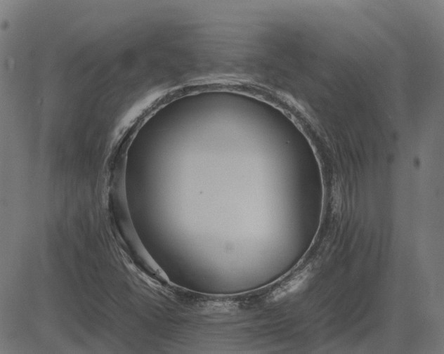 X0000082691406200702091646