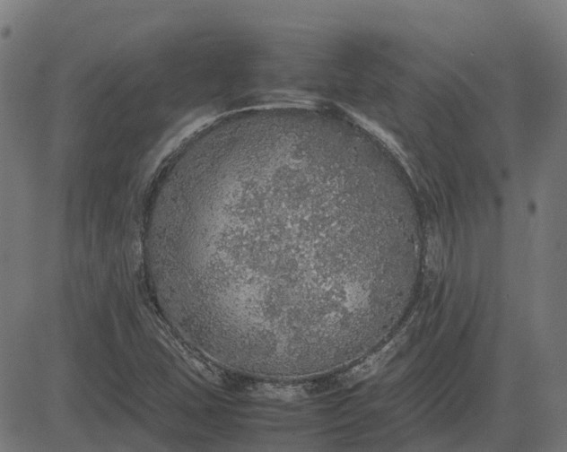 X0000082691407200702091646