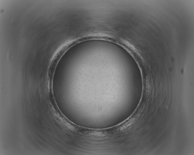 X0000082691408200702091646