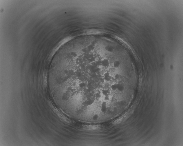 X0000082691409200702091646