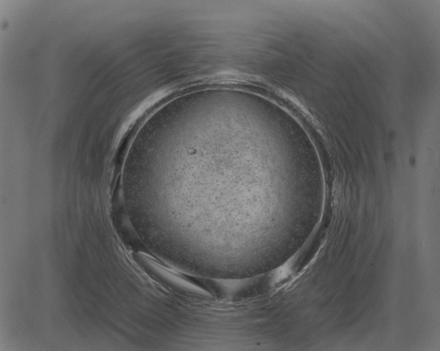 X0000082691410200702091646