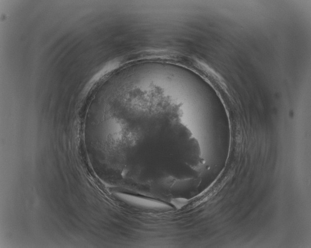 X0000082691411200702091646