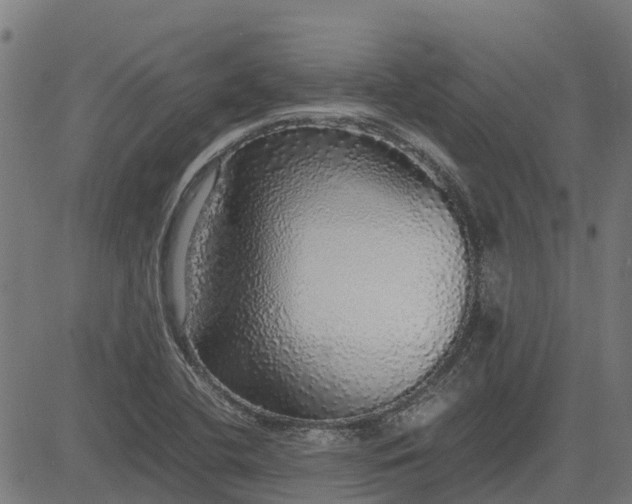 X0000082691412200702091646