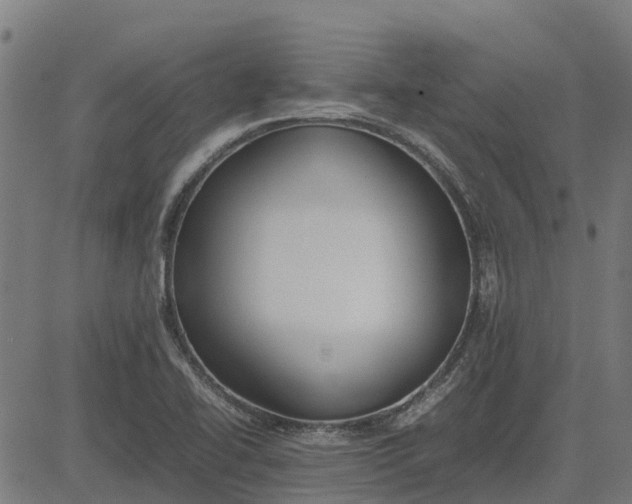 X0000082691414200702091646