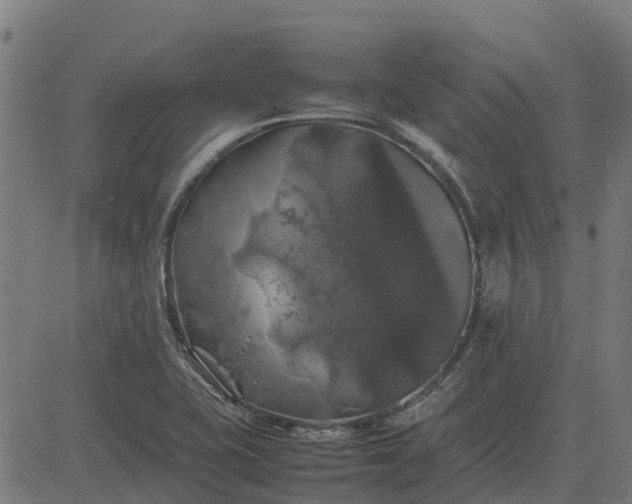 X0000082691415200702091646