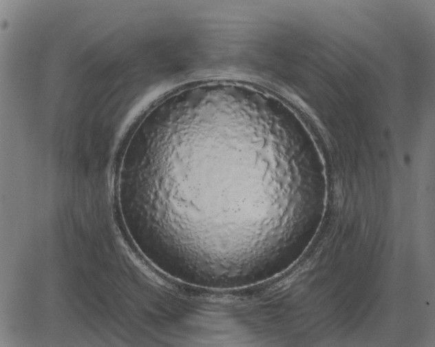 X0000082691416200702091646