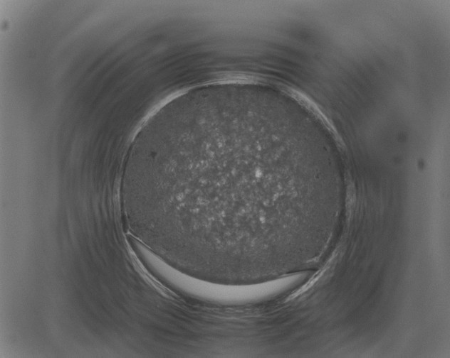 X0000082691417200702091646