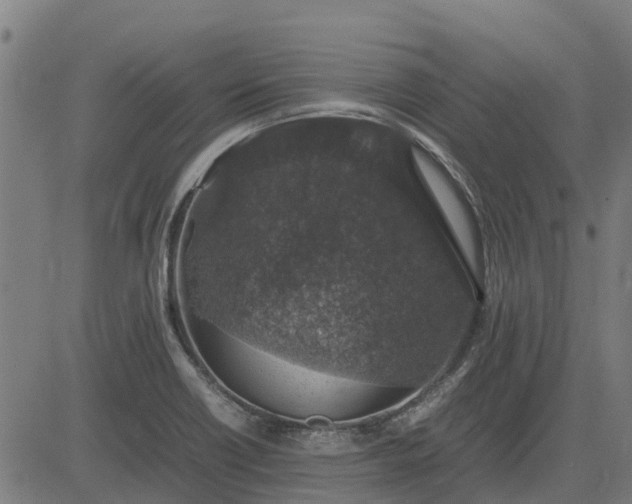 X0000082691418200702091646