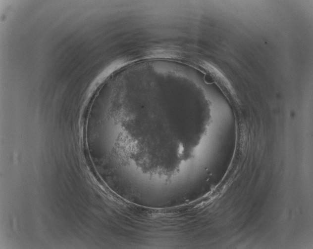 X0000082691419200702091646