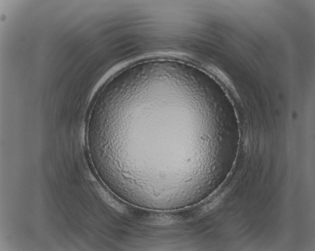 X0000082691420200702091646