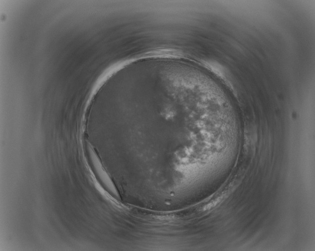 X0000082691421200702091646