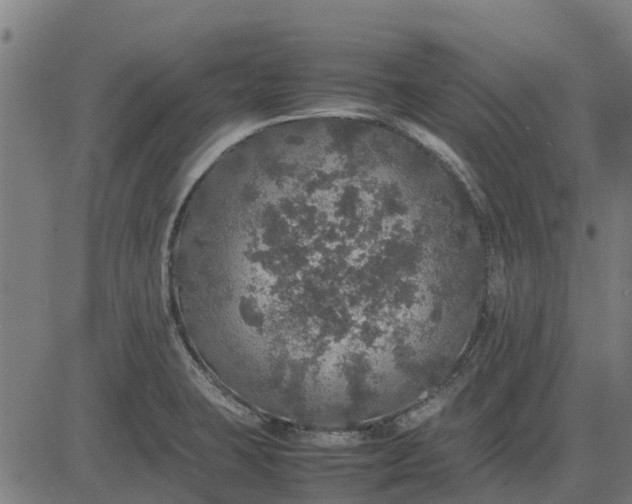 X0000082691423200702091646