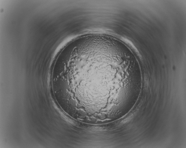 X0000082691424200702091646